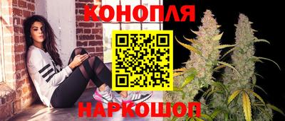 винт Сланцы